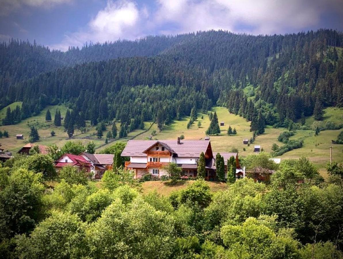 Pensiunea Casa-Stefanel Садова Екстер'єр фото